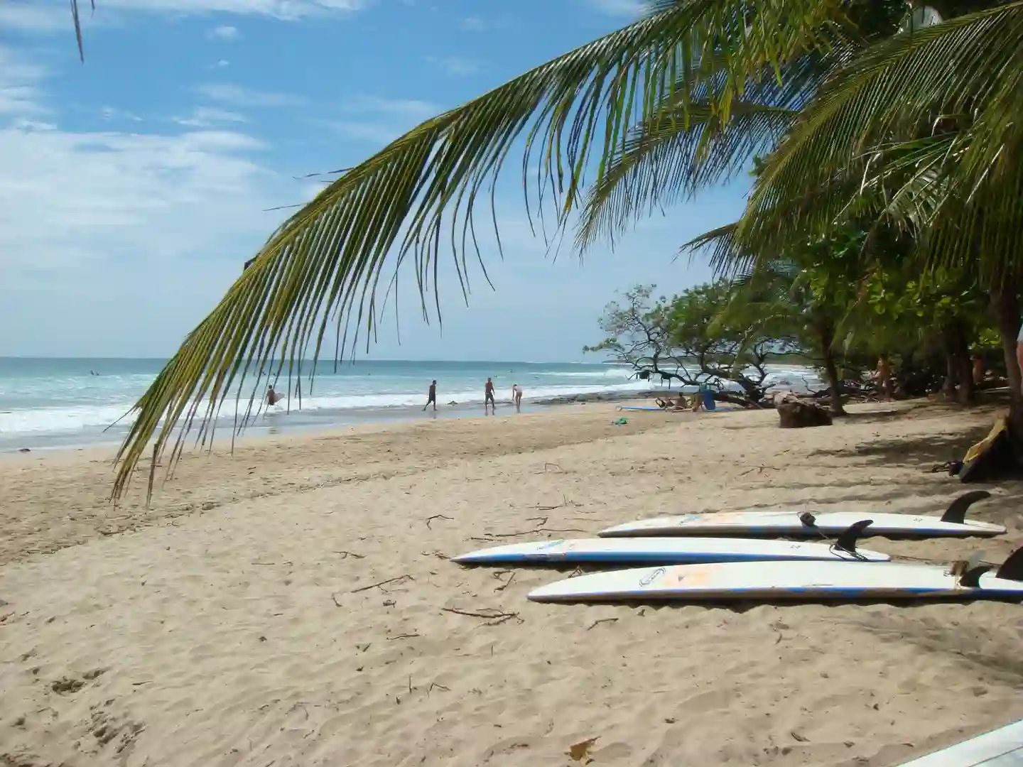 playa tortuga strand