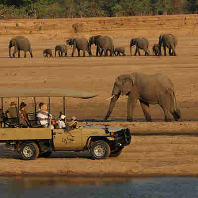 Jeep Safari med elefant
