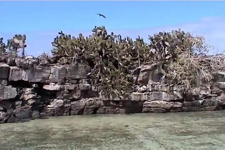 Tower Lagoon