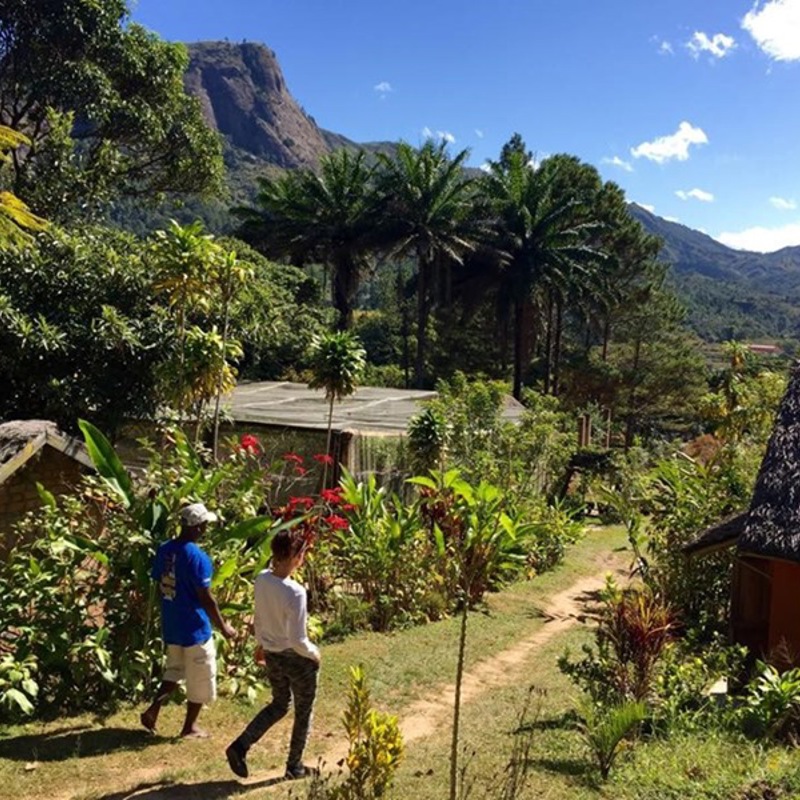 På rejse til Madagaskar: Vandretur i Andasibe