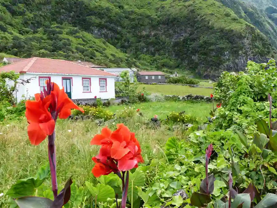 Lokal hus på Faial