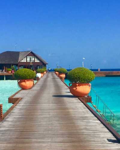 De 8 mest populære bryllupsrejse-destinationer