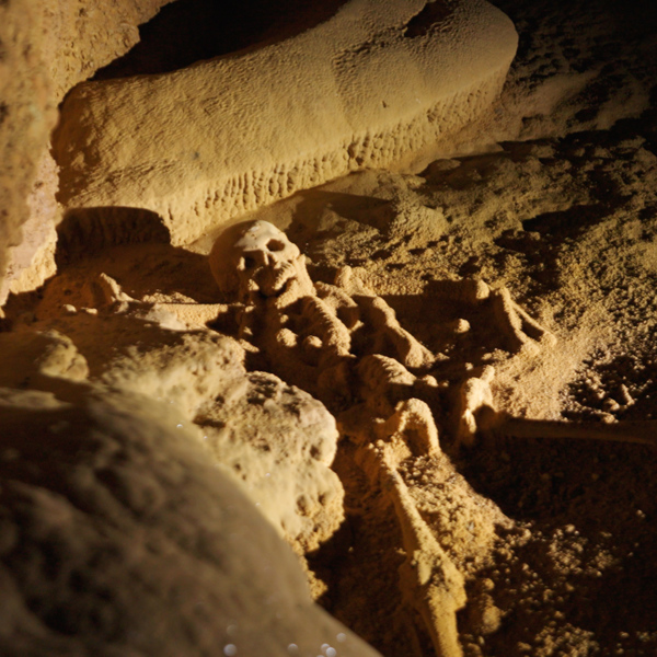 Closeup Of Crystalized Skeleton Inside ATM