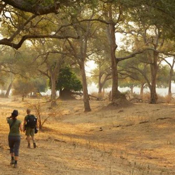 Mana Pools - Hiking