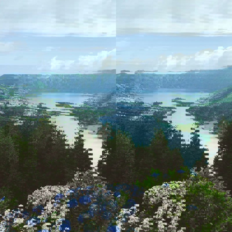 isa-jokela-gomes-_yixyw60G8U-unsplash