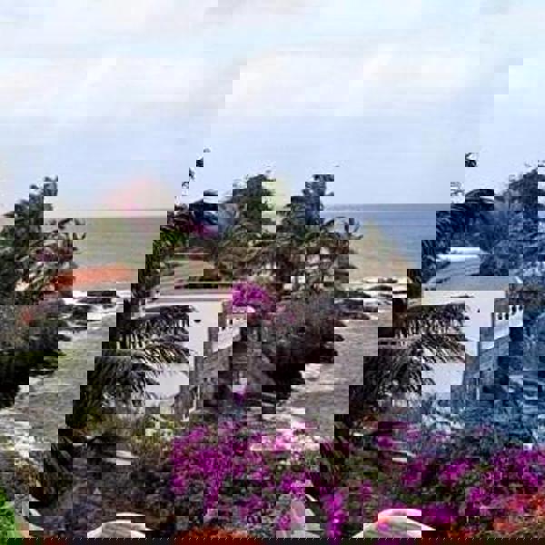 Kingfisher på Santiago i Kap Verde