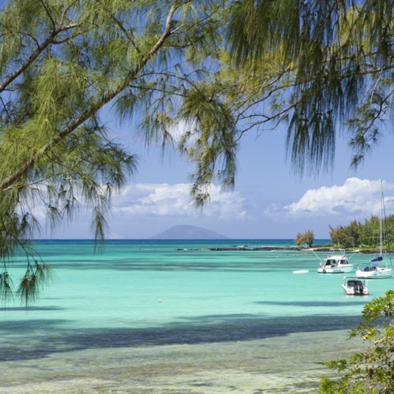 Udsigt mellem palmerne, Mauritius