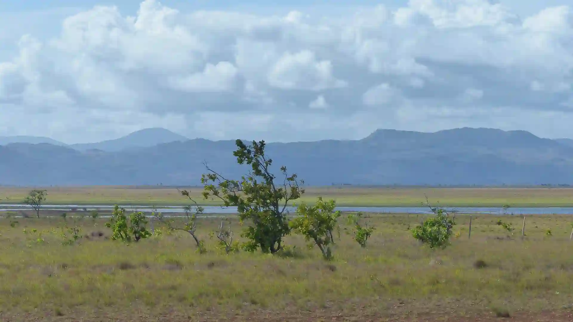 rupununi savanne