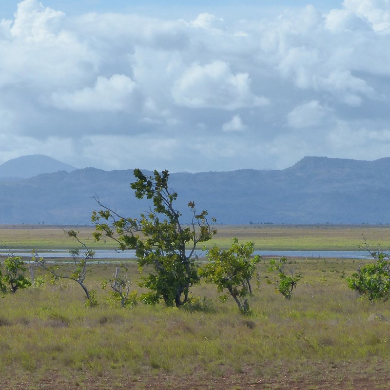 rupununi savanne