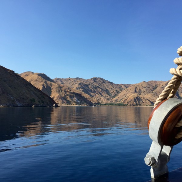 Udforskning af Komodo øerne, Indonesien