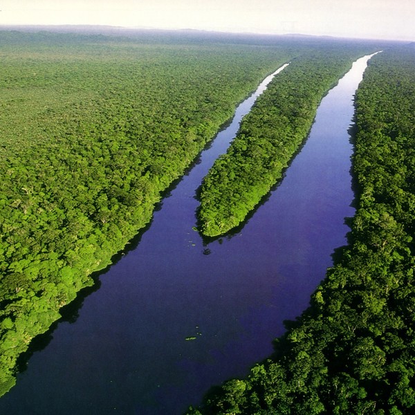 tortuguero