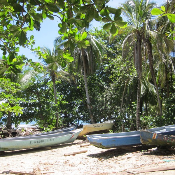cahuita np