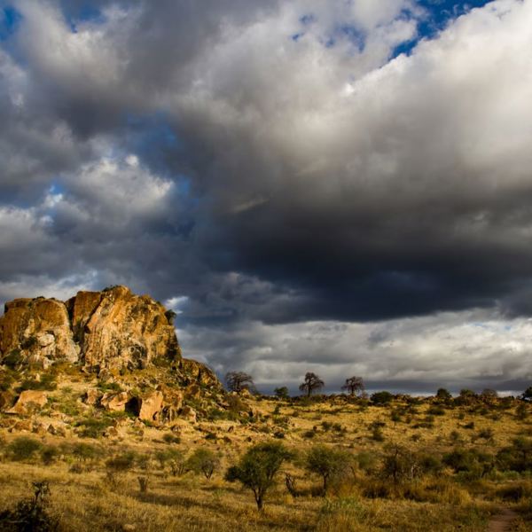 Sydafrika - Mapungubwe