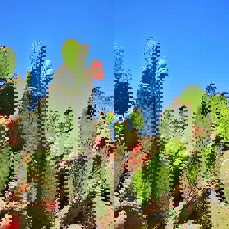 miguel-urieta-6ZeLo8O7lU0-unsplash