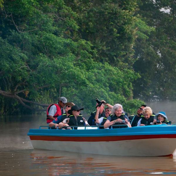 Bilit Rainforest Lodge - Borneo
