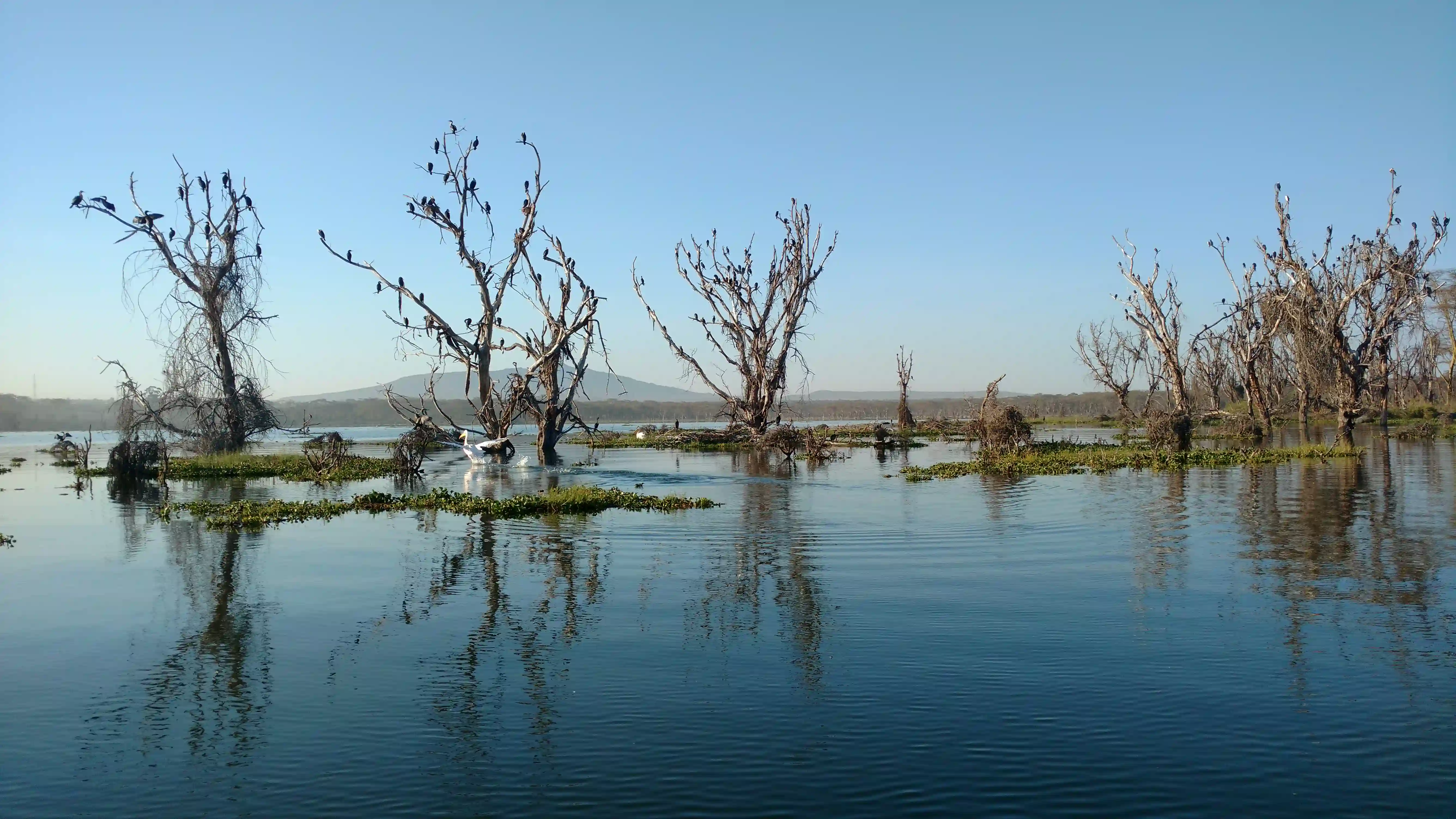 Kenya-Experience_Lake Naivasha_3