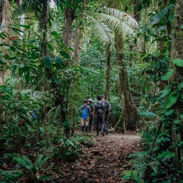 Ecuador - Amazon - Coca - Napo Cultural Center