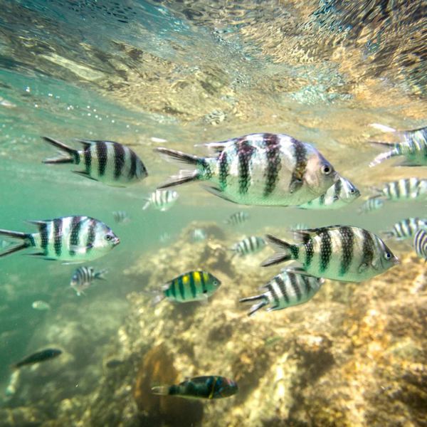 Nosy Be - Madagascar