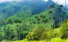 Salento i Colombia