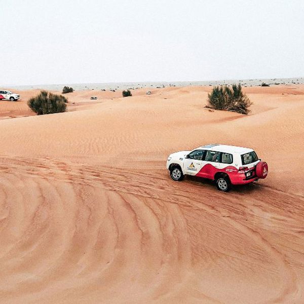 Ørken i De Forenede Arabiske Emirater