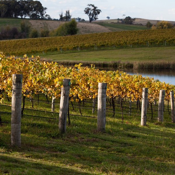 Vinmarker i det vestlige NSW, Australien