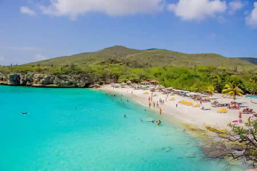 Oplev Grote Knip på en rejse til Curacao