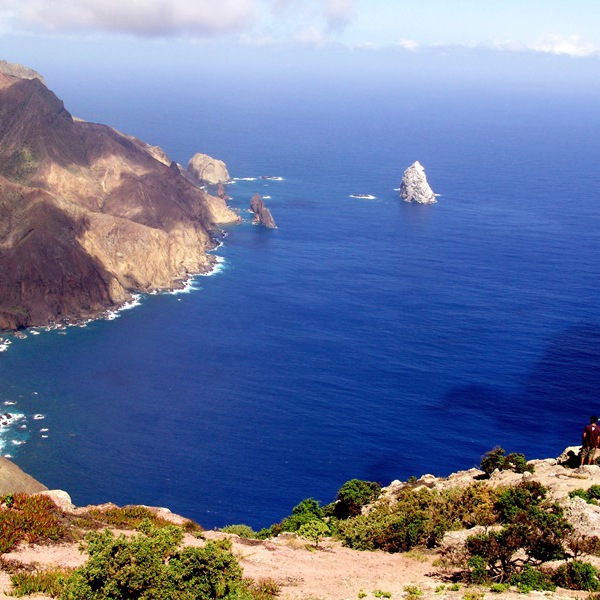 Rejser til St. Helena byder på fantastiske udsigter