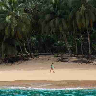 pige ved strander med palme baggrund