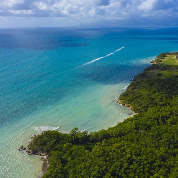Kysten på Guadeloupe