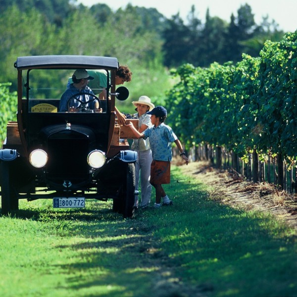 Vinrejser til Uruguay