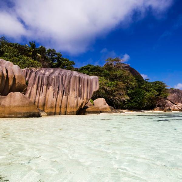 Paradise Beach - Seychellerne