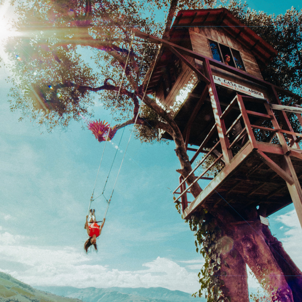 Ecuador - Casa del Arbol