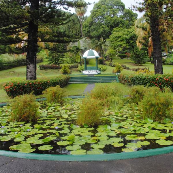 Botanical Garden at Kingstown
