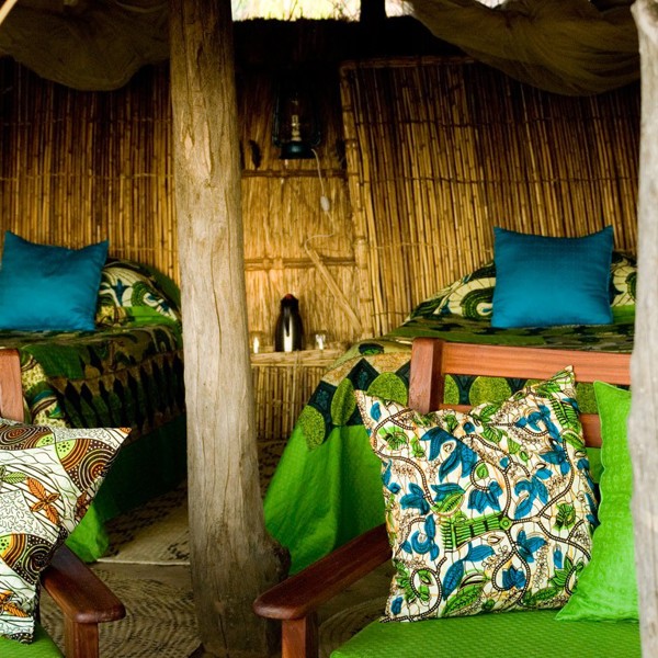 Flotte farver, Chikoko Camp, Zambia