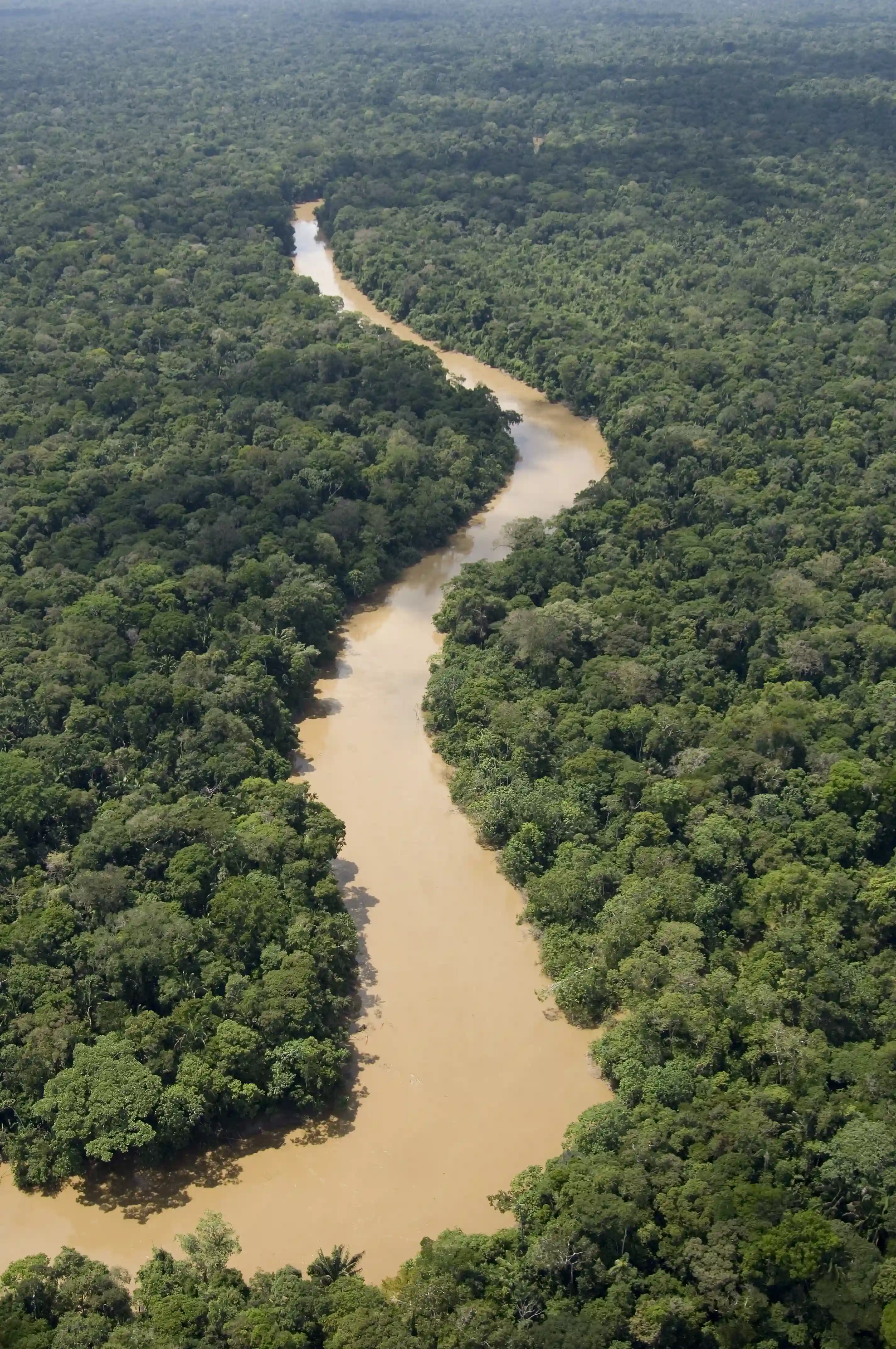 Amazonas, jungletur