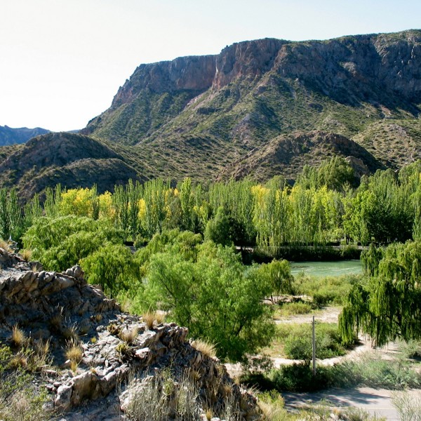 cañon