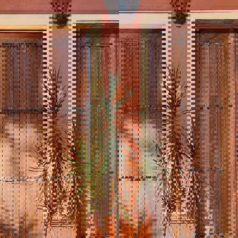 jonathan-beckman-T3Jy4IVRqv0-unsplash