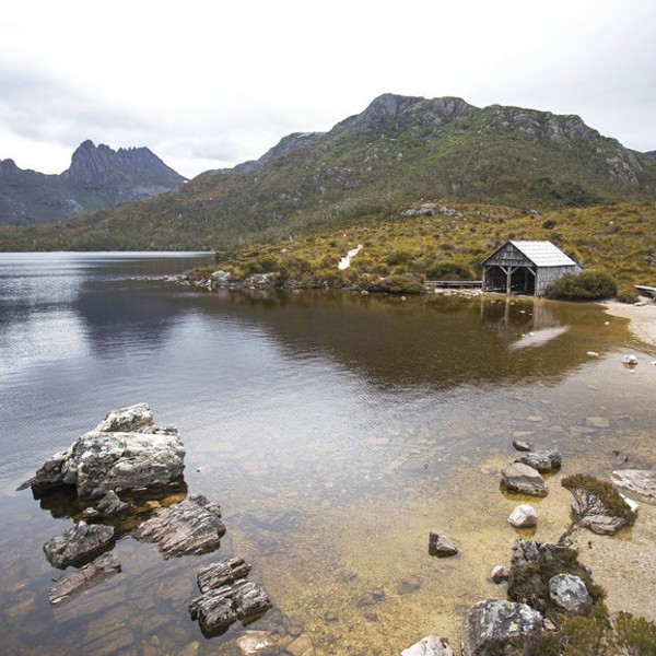 Hytte ved Cradle Mountain National Park, Tasmanien