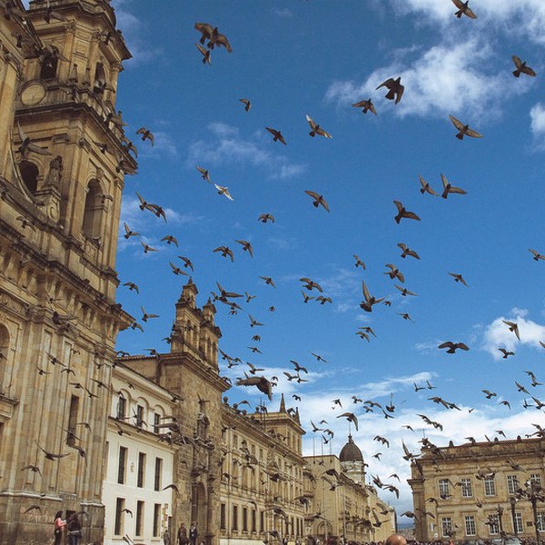 Bogota