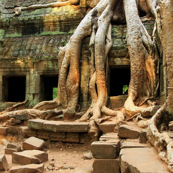 Angor Wat