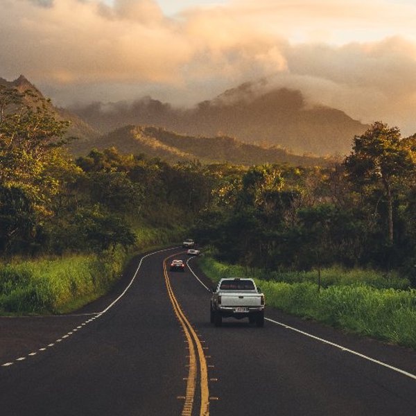 Vej og landskab på Hawaii