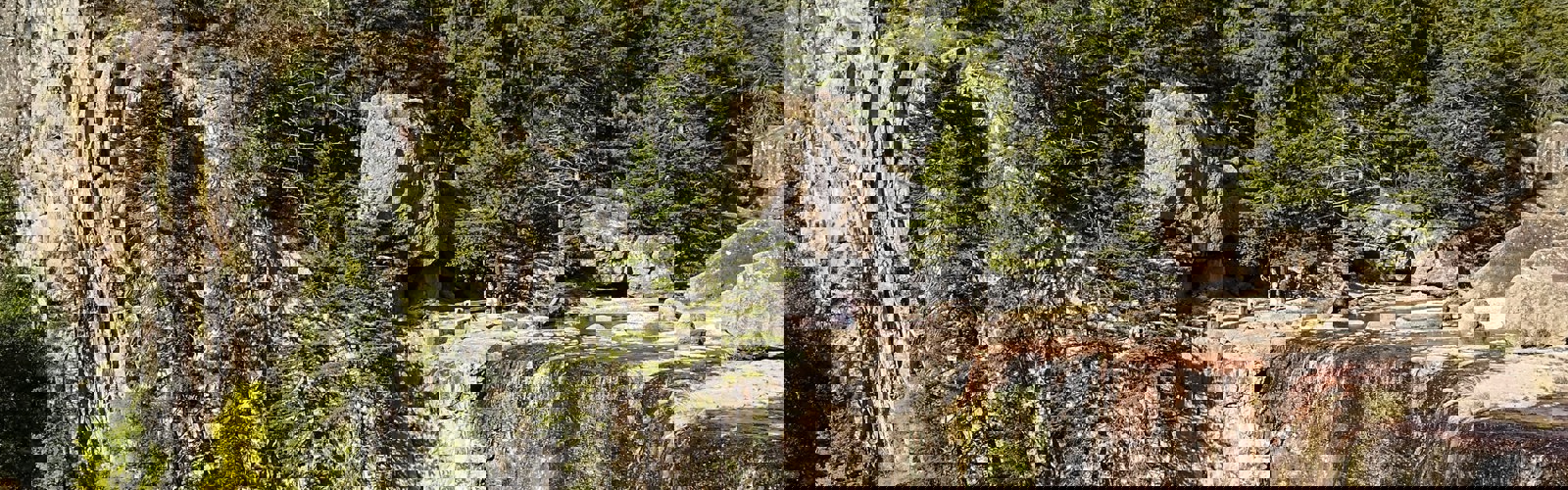 alejandro-cartagena-bRMe3L2XCHc-unsplash