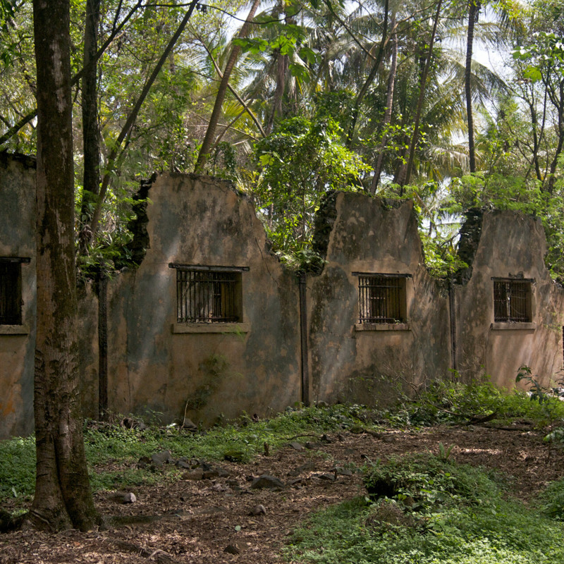 Îles du Salut djævleøen