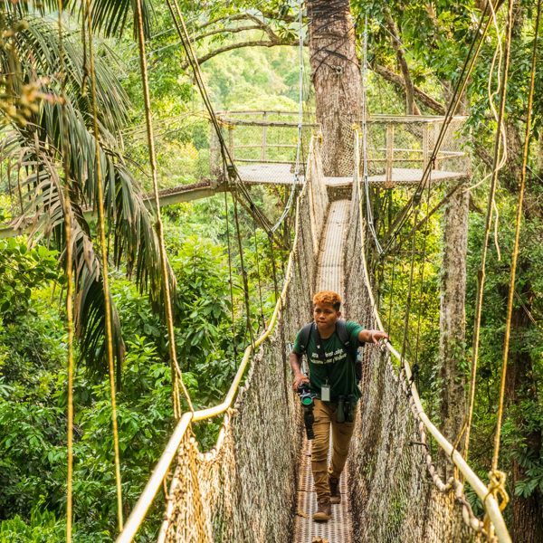 Guyana - Iwokrama River Lodge