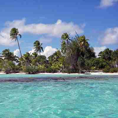 Ægte palmeparadis idyl på Aitutaki, Cook Islands