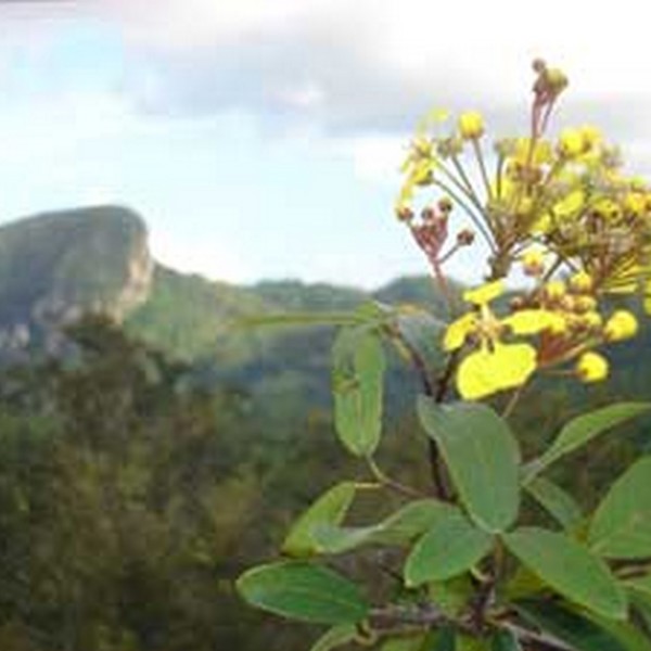 sand iego de los banos