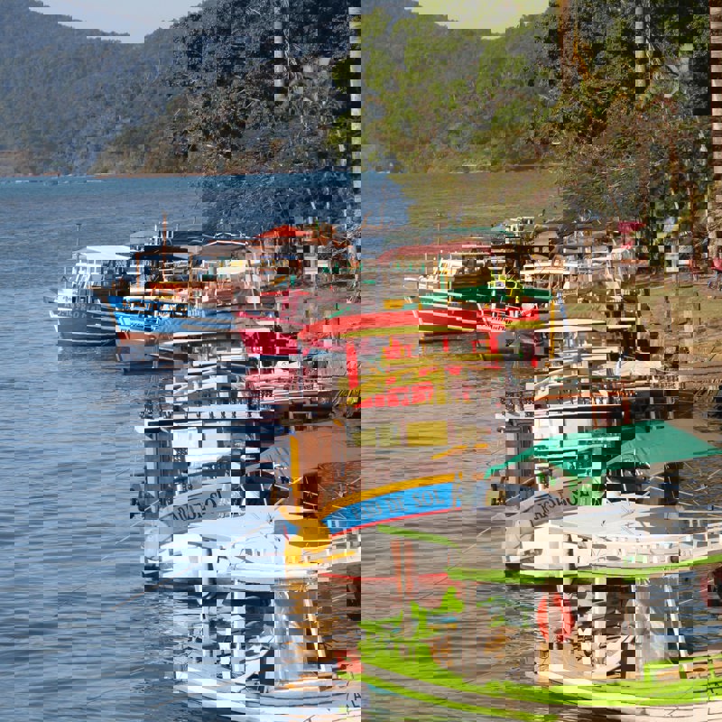 felipe-vieira-__yqG24c_j8-unsplash