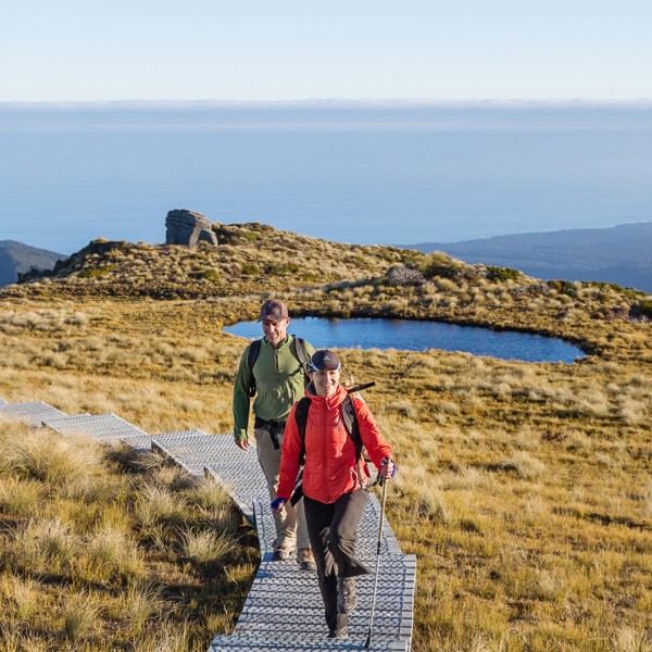 Hump Ridge Track, Fiordland, New Zealand