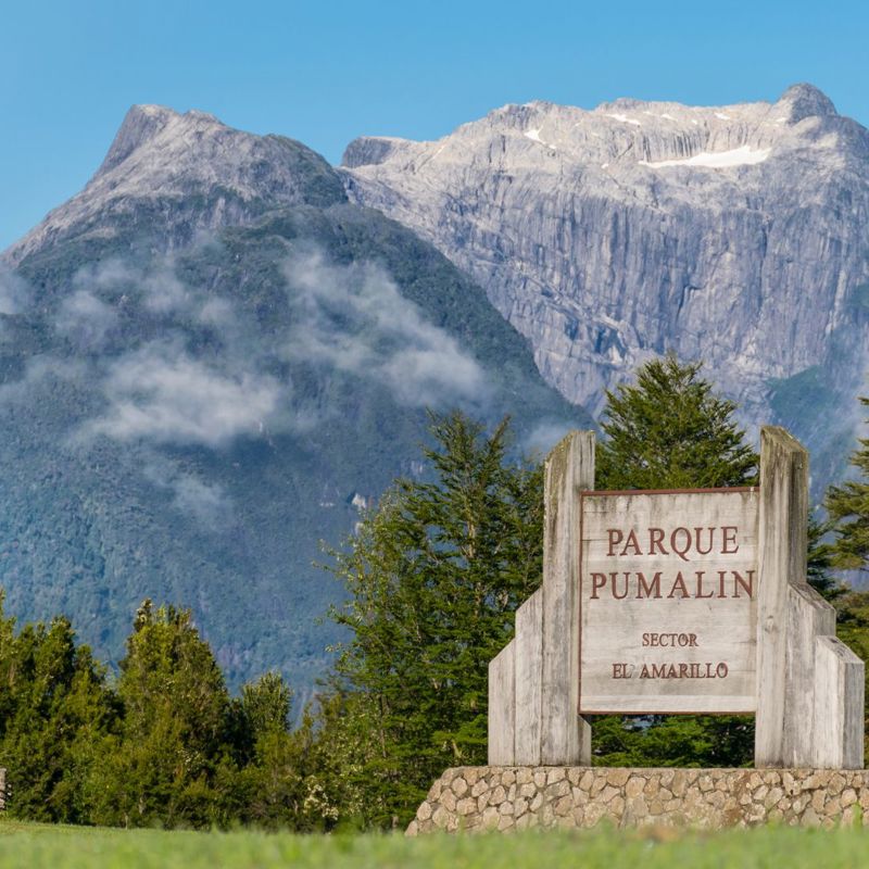 Parque Nacional Pumalín Douglas
