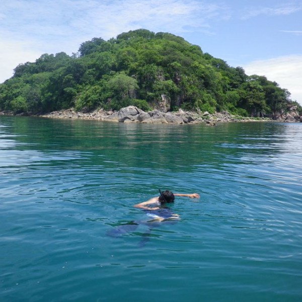 Gode muligheder for at snorkle fra Blue Zebra